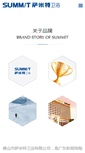Mobile Screenshot of esummit.cn